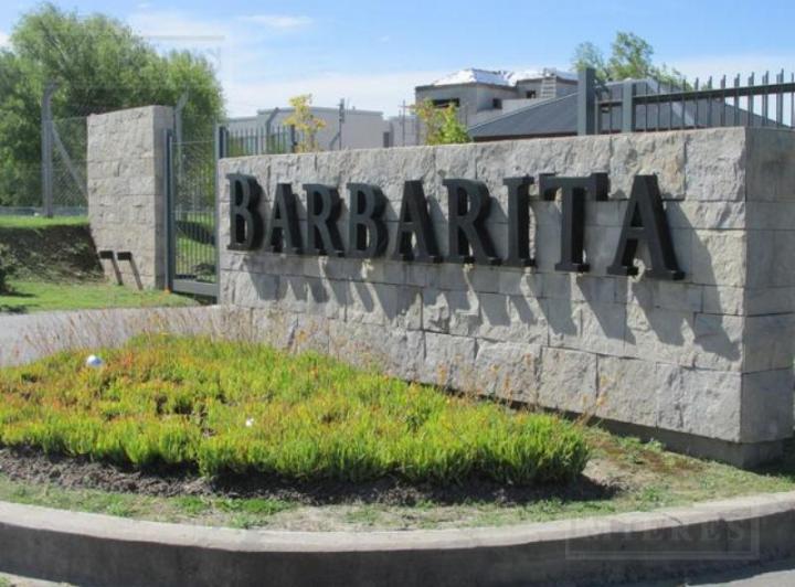 Barbarita